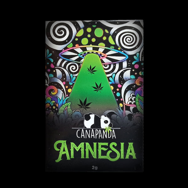 AMNESIA INDOOR